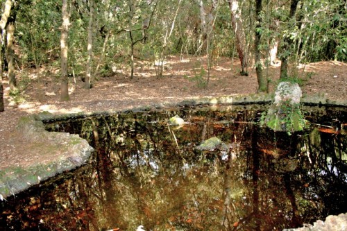San Vincenzo - Fontrana nel bosco