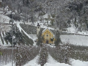 S,Valentino nel silenzioso inverno