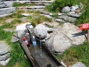 anche il “twergi” beve coca cola