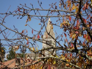 i fieschi in autunno