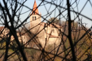 Dietro ai rami? San Sabino