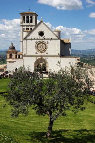 Assisi - Basilica di S. Franceso - Assisi
