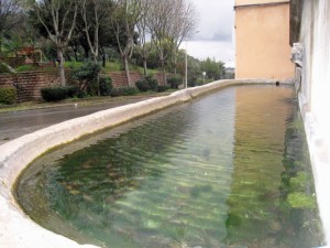 Fontana De Idda [2]