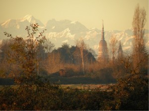 cupola di san gaudenzio