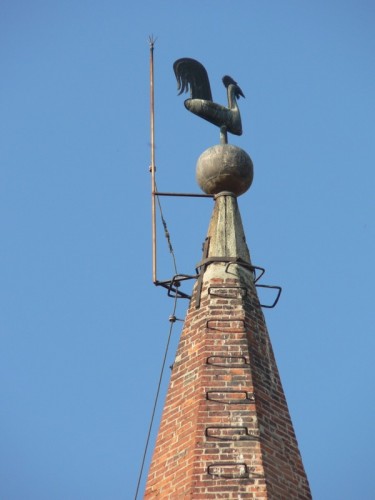 Saluzzo - Gallo sulla guglia del campanile della Chiesa di San Giovanni