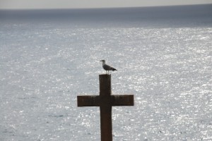 gabbiano si riposa su croce