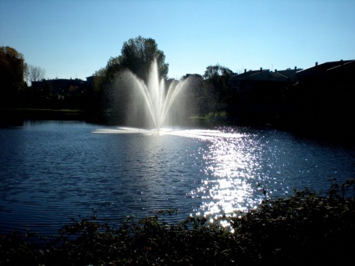 Buccinasco - Fontana nel laghetto 2