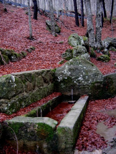 Santa Fiora - Fonte delle Monache Santa Fiora - Fonte delle Monache