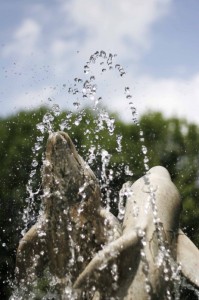 fontana dello zoo