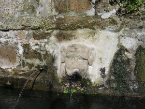 Fonte dell’Olmo - Particolare