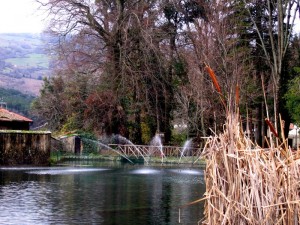 Le Fontane della Peschiera