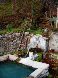 Chi l’ha Dimenticata?