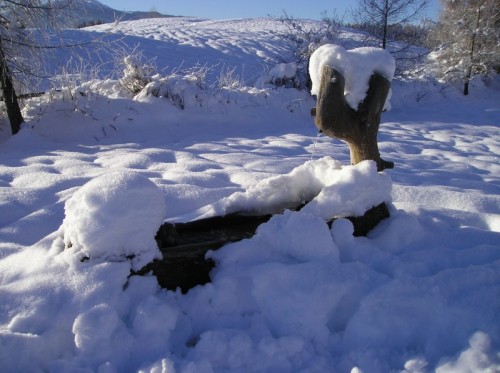 Daiano - Fontana ricoperta di neve