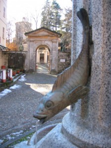 pesciolino del Sacro Monte