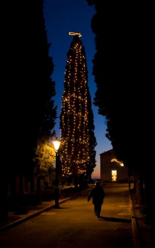 Cavallino - Anche quì è Natale