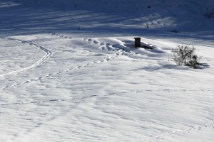 Fontana di Prato Capito sotto la neve….
