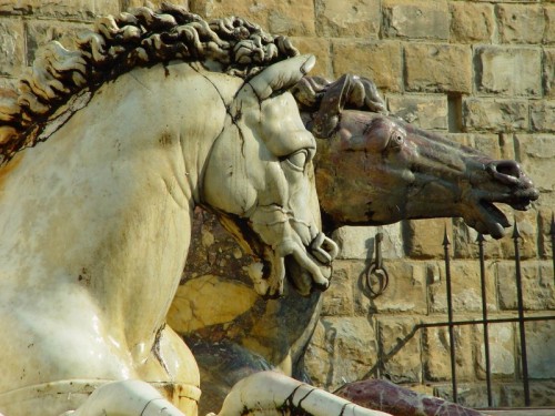 Firenze - Fontana Piazza della Signoria Firenze - Fontana Piazza della Signoria