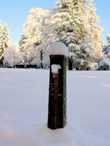 Fontanella nel parco