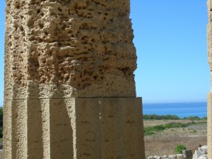 Colonna Tempio di Era - Selinunte