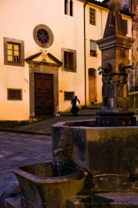 La vecchia fontana di villa basilica