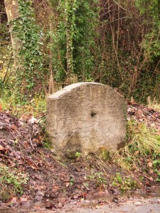 Una volta mi “chiamavano” fontana