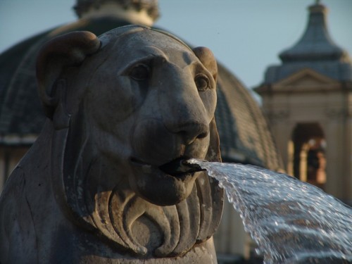 Roma - Il leone gentile