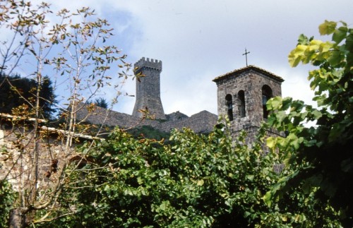 Radicofani - Il campanile della Chiesa di San Pietro spunta tra gli alberi