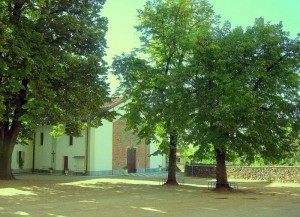 Chiesa di S.M.Assunta (dalla piazza del castello)