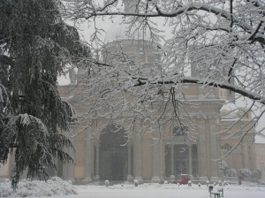 Il Duomo di Vercelli e L’Albero