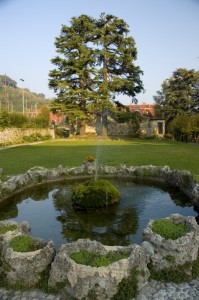 Fontanella nel parco