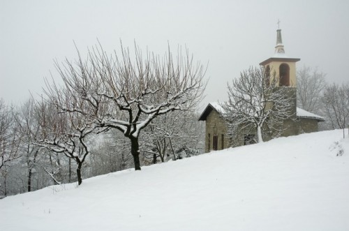 Val di Nizza - nel frutteto d'inverno