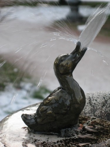 Arco - Paperella Arco - Paperella