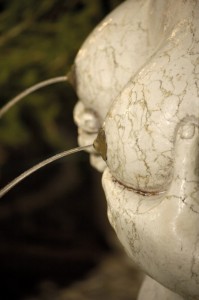 Dove cade l’occhio alla fontana di Treviso