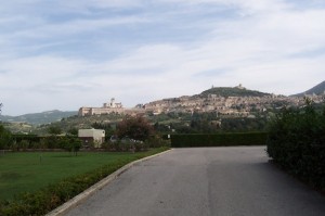 Basilica di S.Francesco vista panoramica
