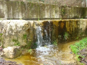 chiare fresche dolci acque “La Coscella”