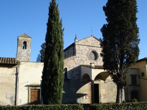 Cipressi a guardia di San Pietro