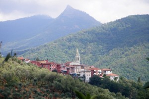 … In fondo all’Uliveto…