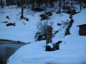 Bizzarra fontanella nel bosco