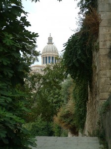 Nascosta dietro gli alberi