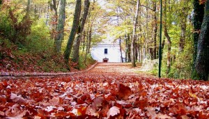Chiesa di Sant’Onofrio