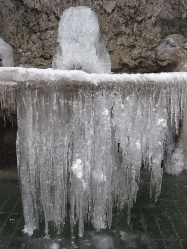 Trento - Leo non berrai