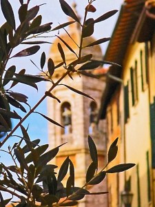 “prospettiva naturale”