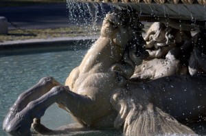 CLOSE UP FONTANA CAVALLI MARINI