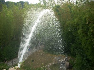 soffio della balena di Pinocchio