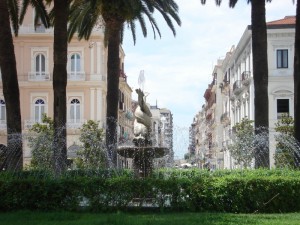 I delfini intrecciati