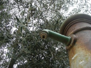 fontana nel piazzale della chiesa maria ss addolorata