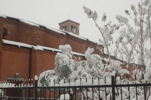 S, Alessandro sotto la neve