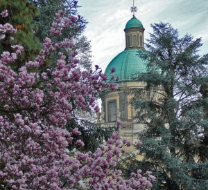 La cupola del Duomo