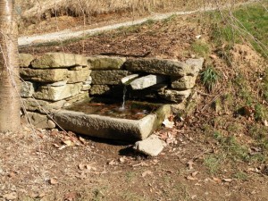 nel Parco della Burcina..