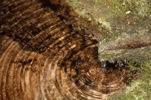 L’ acqua,un bene prezioso..